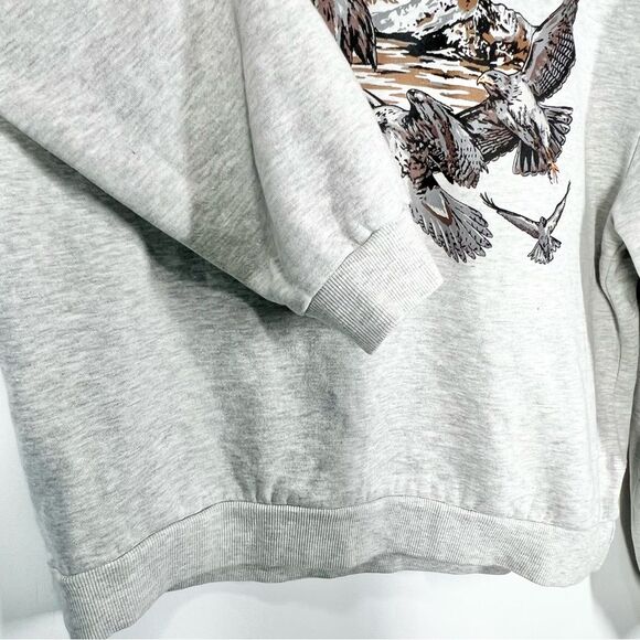NWT BDG Urban Outfitters Bonfire Washed Hawk Eagle Mountain Graphic Hoodie L - Picture 6 of 11